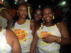 Bloco Skol Folia